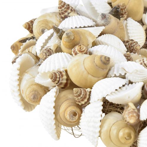 Article Couronne de coquillages décoration maritime à suspendre noix de coco blanc naturel Ø25cm