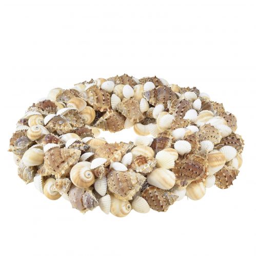 Floristik24 Couronne de coquillages couronne d&#39;escargot à suspendre noix de coco naturelle Ø25cm