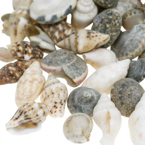 Article Coquilles d&#39;escargots déco mini nature mix déco maritime 1kg