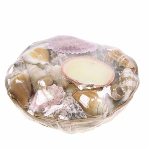 Floristik24 Mélange de coquillages dans un panier naturel Ø15cm 420g