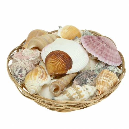 Floristik24 Mélange de coquillages dans un panier naturel Ø15cm 420g