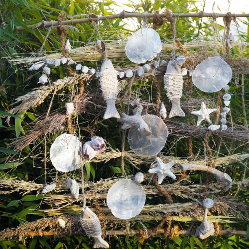 Floristik24 Mélange de coquillages, coquillages et coquilles d&#39;escargots, décoration estivale H3–5cm/L2,5–9cm 950g