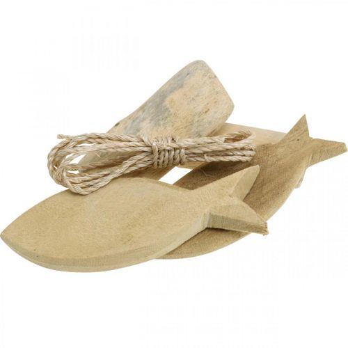 Floristik24 DIY-Box Maritime Set de déco en bois coquillages naturels assortis