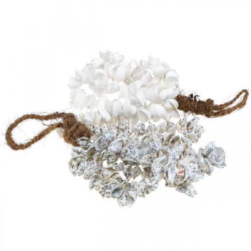 Floristik24 Collier coquillage coquillage pendentif coquillage déco maritime 2pcs