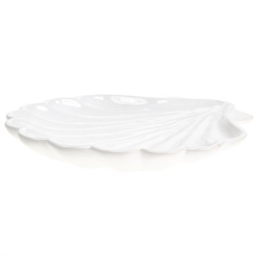 Floristik24 Coquille Décorative Blanc 15cm x 16cm 3pcs