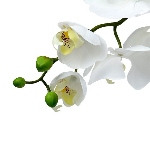Orchidée papillon blanche 75 cm