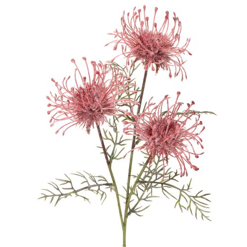 Branche Fleur Artificielle Protea Nadelkissen 65 cm Rose et Vert, Set de 3 | Floristik24.fr