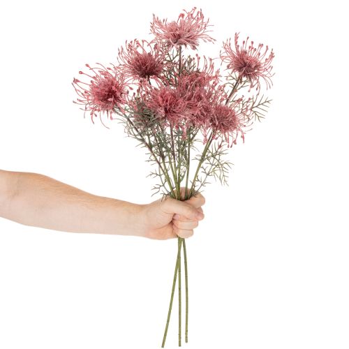 Branche Fleur Artificielle Protea Nadelkissen 65 cm Rose et Vert, Set de 3 | Floristik24.fr