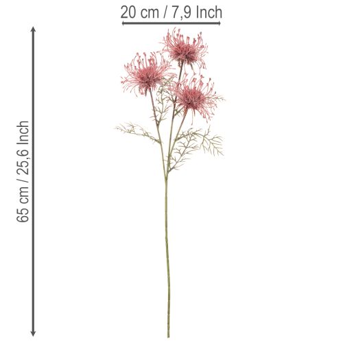 Branche Fleur Artificielle Protea Nadelkissen 65 cm Rose et Vert, Set de 3 | Floristik24.fr