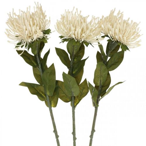 Coussin à épingles fleurs artificielles exotiques Protea Leucospermum crème 73cm 3pcs