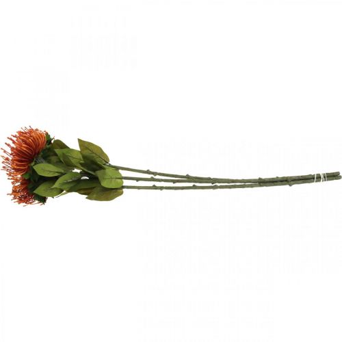 Article Pincushion Fleur Artificielle Exotique Orange Leucospermum Protea 73cm 3pcs