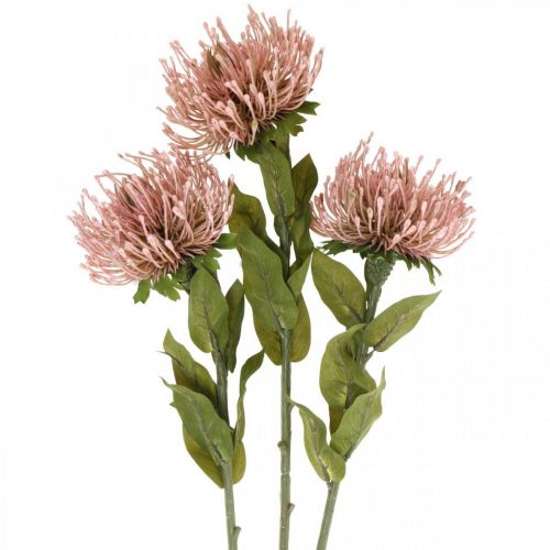 Article Fleur d&#39;automne en pelote artificielle Protea Rosa Leucospermum 73cm 3pcs