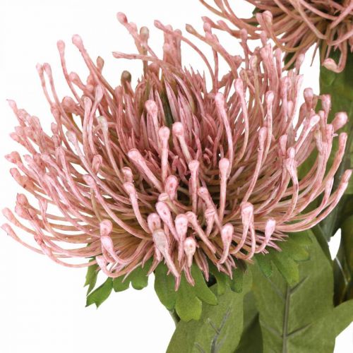 Article Coussin à épingles fleur d&#39;automne artificielle Protea Rosa Leucospermum 73cm 3pcs