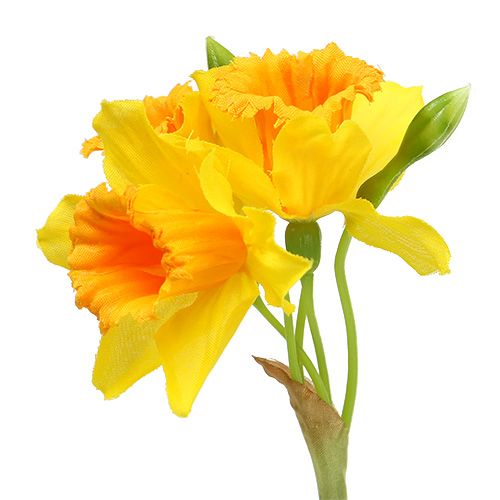 Floristik24 Narcisse jaune L. 40 cm