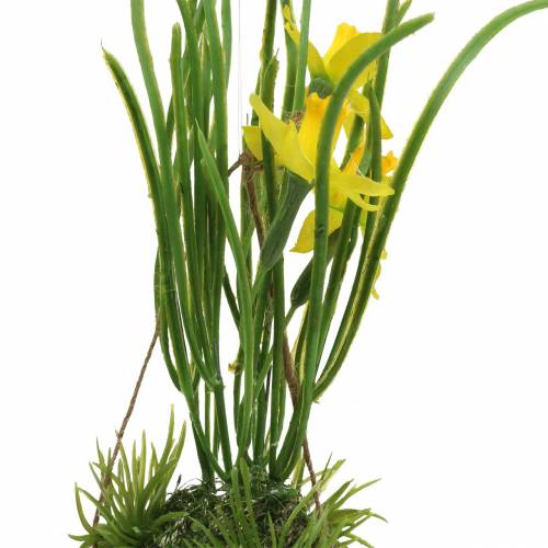 Floristik24 Jonquille dans la coquille d&#39;oeuf à suspendre Artificielle jaune 25cm
