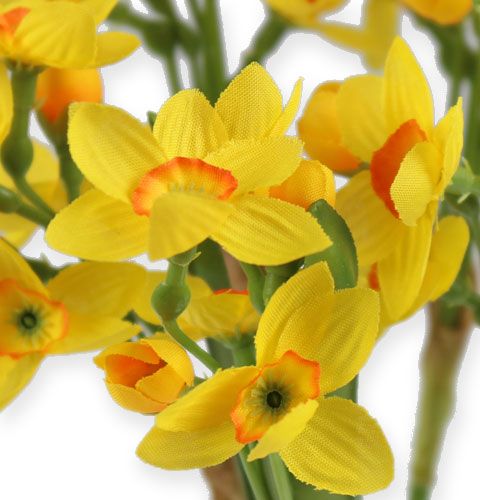 Floristik24 Bouquet jaune de narcisses 35 cm 3 p.