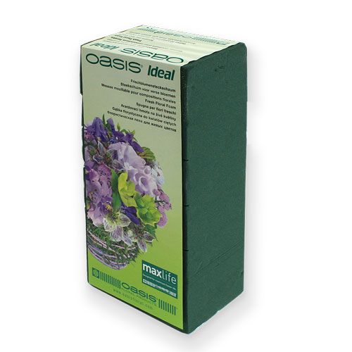 Floristik24 Mousse florale humide pour briques d&#39;arrangements floraux de fleurs fraîches