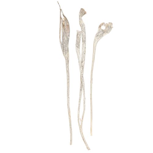 Article Natraj Bois de Cerf Mélange Blanc Lavé 10 pcs