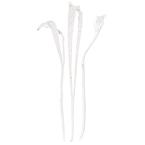 Article Natraj mélange de bois de bois blanchi 10 pcs