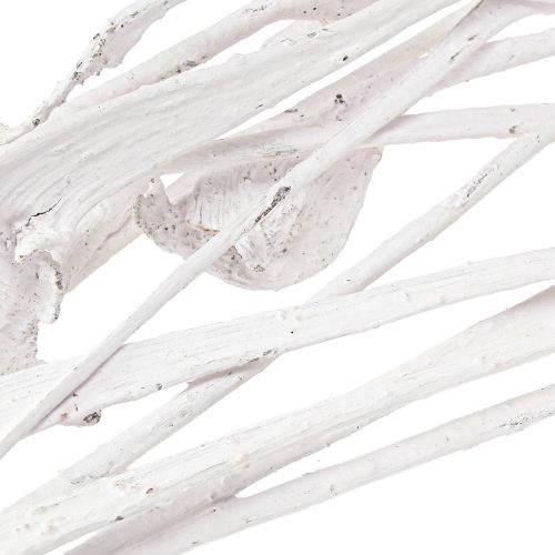 Article Natraj mélange de bois de bois blanchi 10 pcs