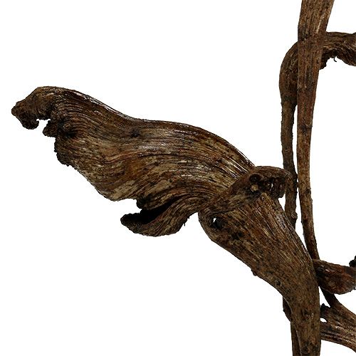 Natraj andouiller mélange de bois naturel 10 pièces