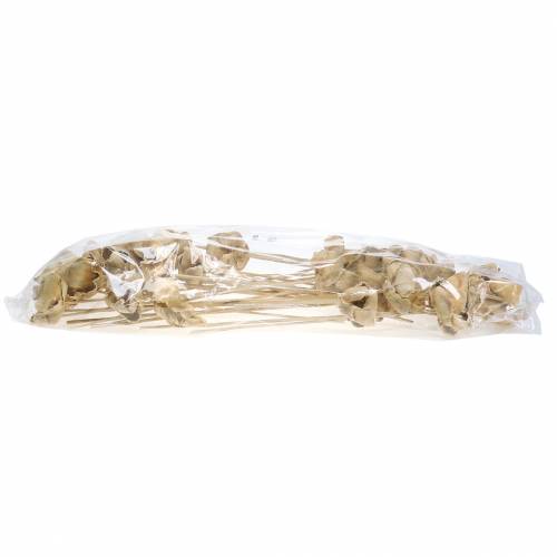 Article Fleur naturelle, coupe de palmier sur tige blanchie 25 pcs