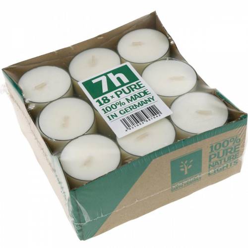 Floristik24 Bougies chauffe-plat PURE Nature Lights en cire de colza, durée de combustion naturelle 7 heures, 18 pièces