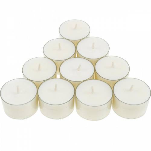 Floristik24 Bougies chauffe-plat PURE Nature Lights en cire de colza, durée de combustion naturelle 7 heures, 18 pièces