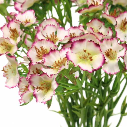 Floristik24 Bouquet d&#39;oeillets blanc, violet 34cm