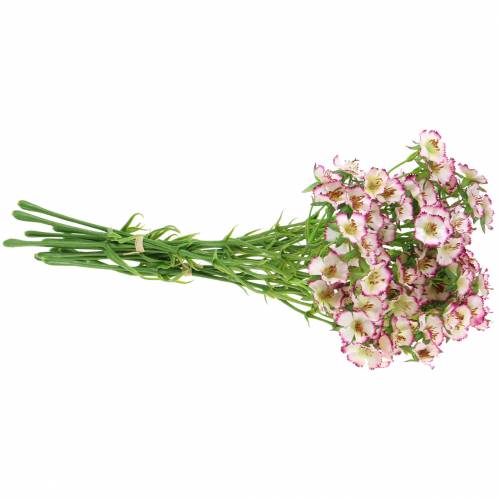 Floristik24 Bouquet d&#39;oeillets blanc, violet 34cm