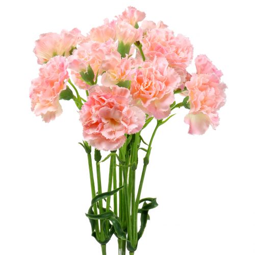 Floristik24 Oeillet rose 64cm 4pcs