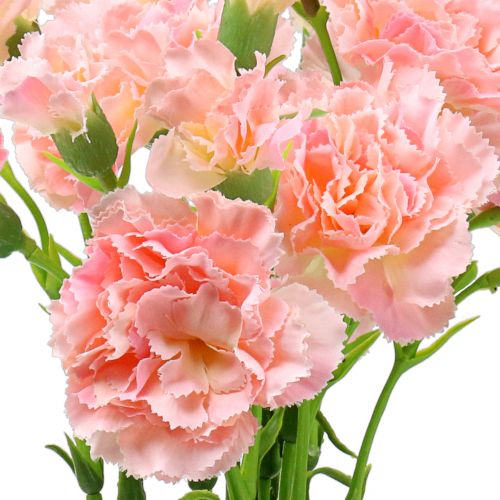 Floristik24 Oeillet rose 64cm 4pcs