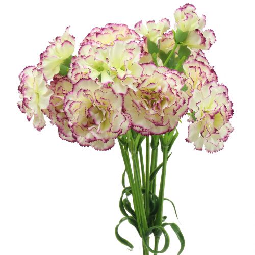 Oeillet Blanc-Violet 64cm 4 pcs