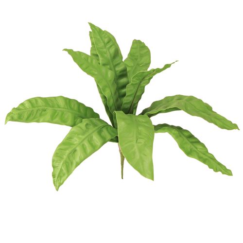 Floristik24 Fougère nid d'oiseau Plante verte artificielle 5,5×22 cm 2 pcs