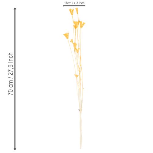 Article Composition florale séchée de Nigella, idéale pour une utilisation prolongée. Élégante et raffinée. 70 cm, 50 g