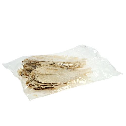 Article Feuille de Chêne blanchie 35 pcs