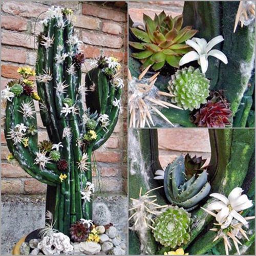 Article Figurine florale en mousse cactus noir 38cm x 74cm