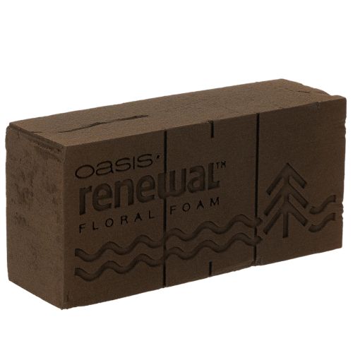 Bloc de mousse florale Oasis Renewal marron 23 x 11 x 7,5 cm acheter | Floristik24.fr