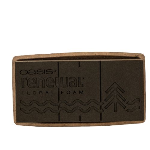 Mousse florale OASIS® Renewal® Biolit® 2 briques 24 × 13 × 8 cm, marron, pour compositions florales