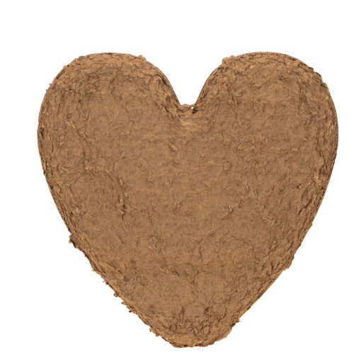 Cœur en mousse florale OASIS® Renewal® Biolit® 33 cm (lot de 2) | Floristik24.fr