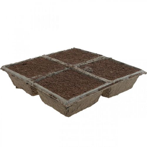 Composé enfichable OASIS® TerraBrick™ compostable 8pcs