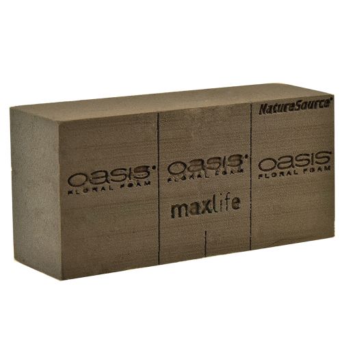 Article Oasis NatureSource Maxlife Mousse Florale Brique Marron 23×11×7.5cm 1pc