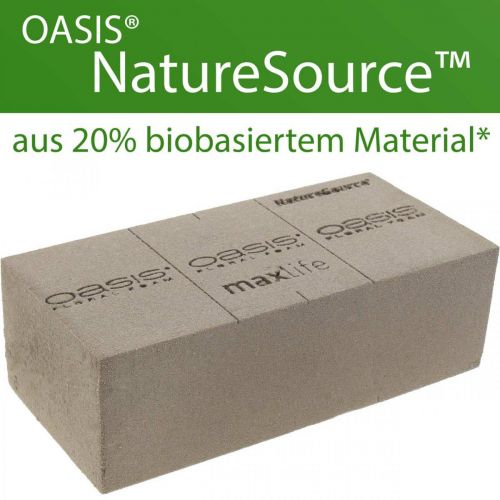 Article OASIS® BIOLIT® NatureSource brique mousse florale 23cm×11cm×7cm 10 pièces