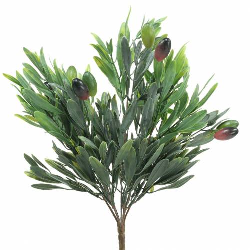 Rameau d&#39;Olivier artificiel Vert 27cm 7 brins