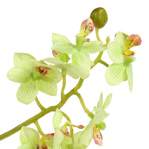 Article Orchidée 97cm vert clair