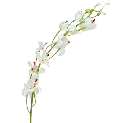 Orchidée Mokara en blanc 92cm 3P