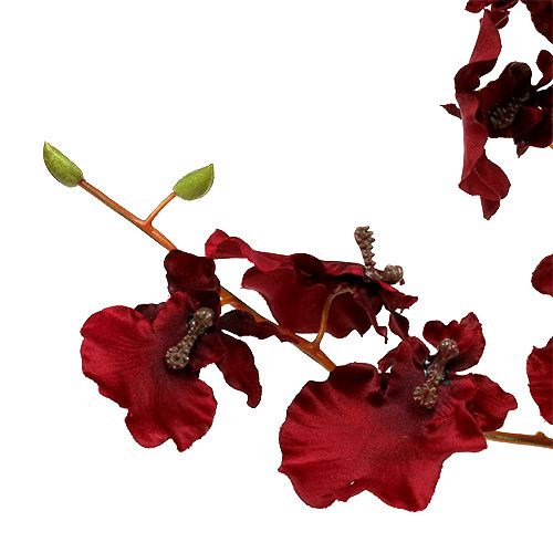 Article Orchidée Oncidium 70cm rouge foncé 3pcs