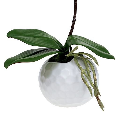 Article Orchidée rose en pot céramique 31cm