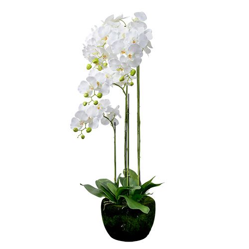Article Orchidée blanche avec globe 110cm