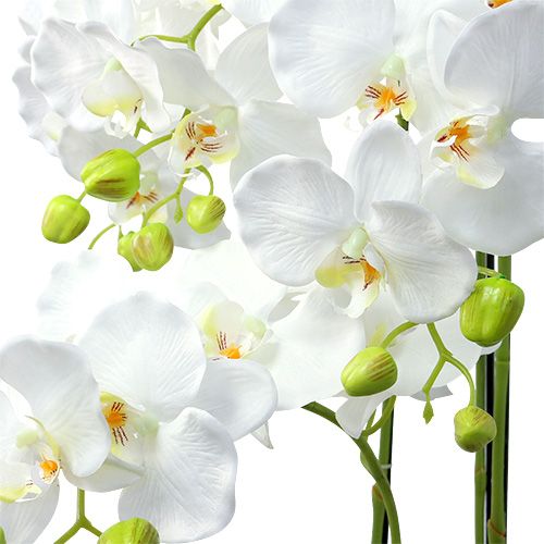 Article Orchidée blanche avec globe 110cm